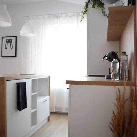 Voya Apartments - A Luxury Oasis In The Old Town Braşov Exterior foto